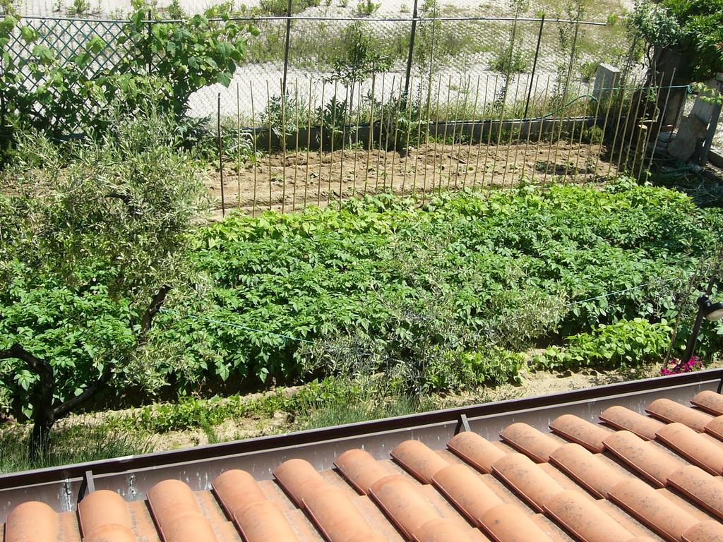 Nonna Alda Bed & Breakfast Viareggio Room photo