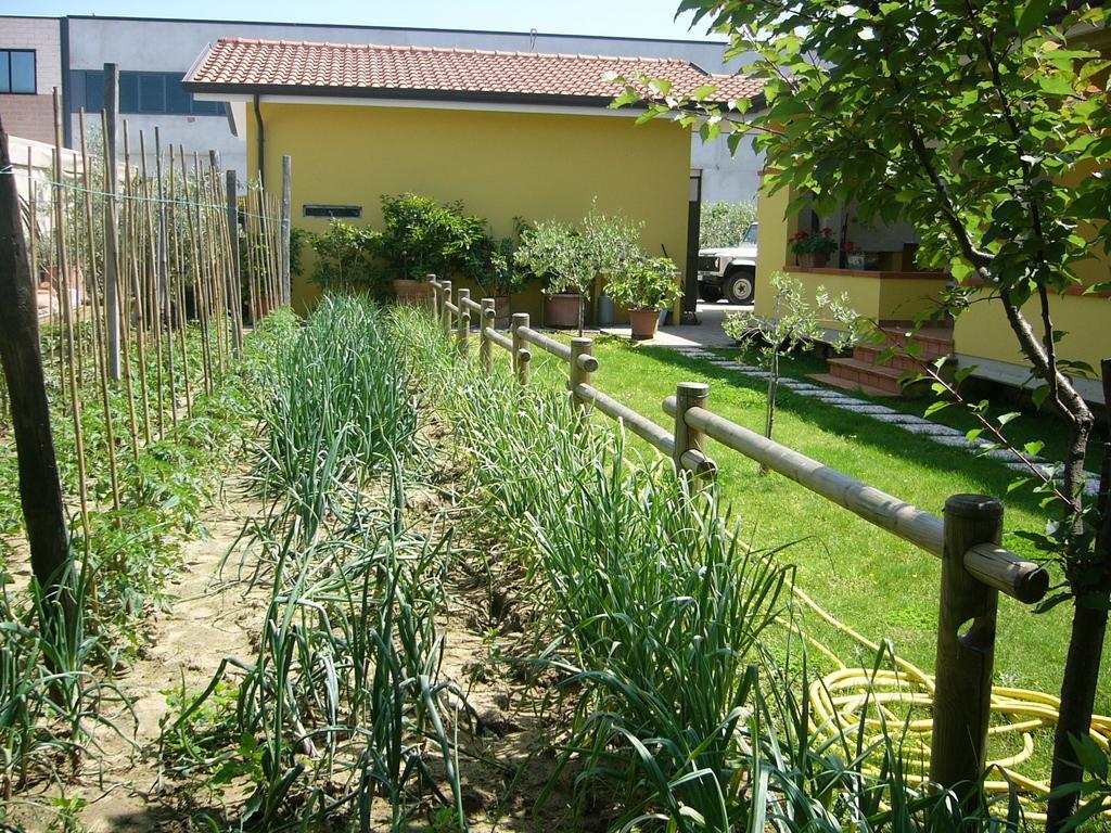 Nonna Alda Bed & Breakfast Viareggio Room photo