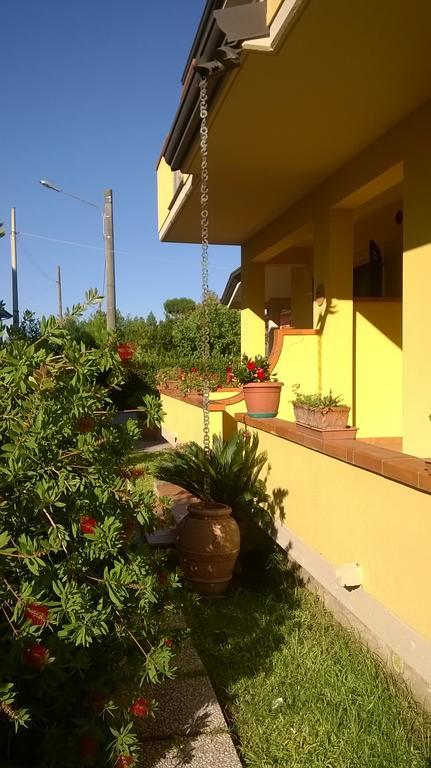 Nonna Alda Bed & Breakfast Viareggio Exterior photo