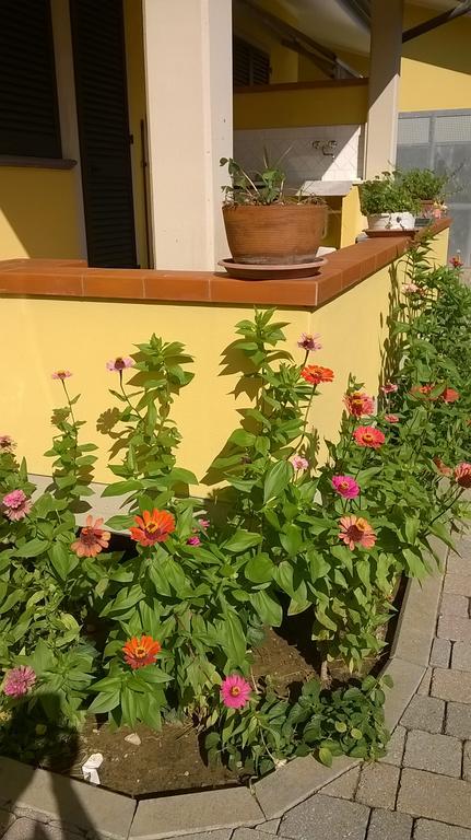 Nonna Alda Bed & Breakfast Viareggio Exterior photo