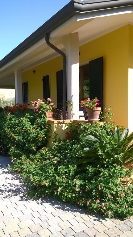 Nonna Alda Bed & Breakfast Viareggio Exterior photo